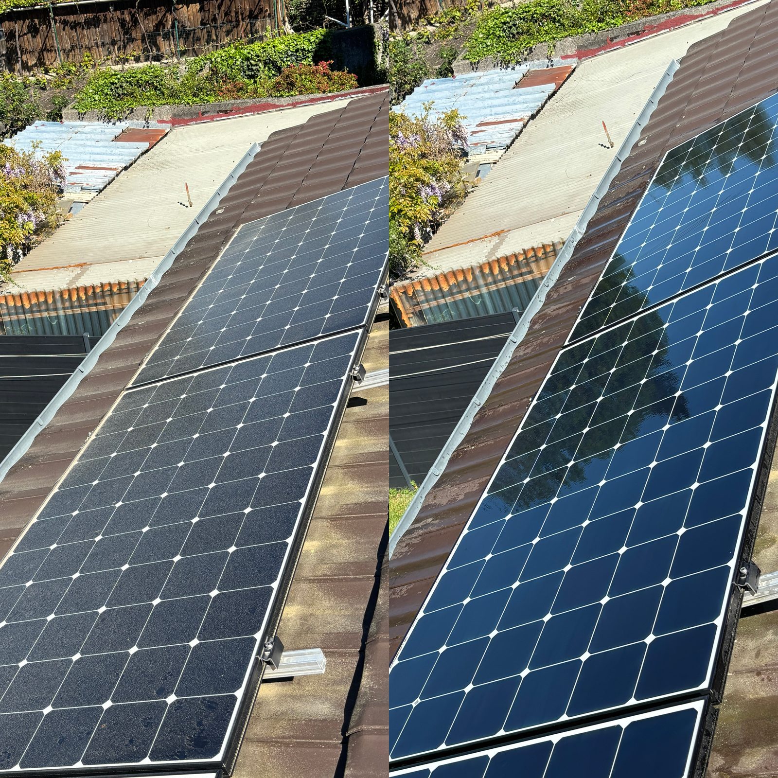 Panneaux photovoltaïques nettoyés à l'eau pure